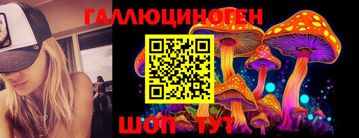 Галлюциногенные грибы Cubensis Волгоград