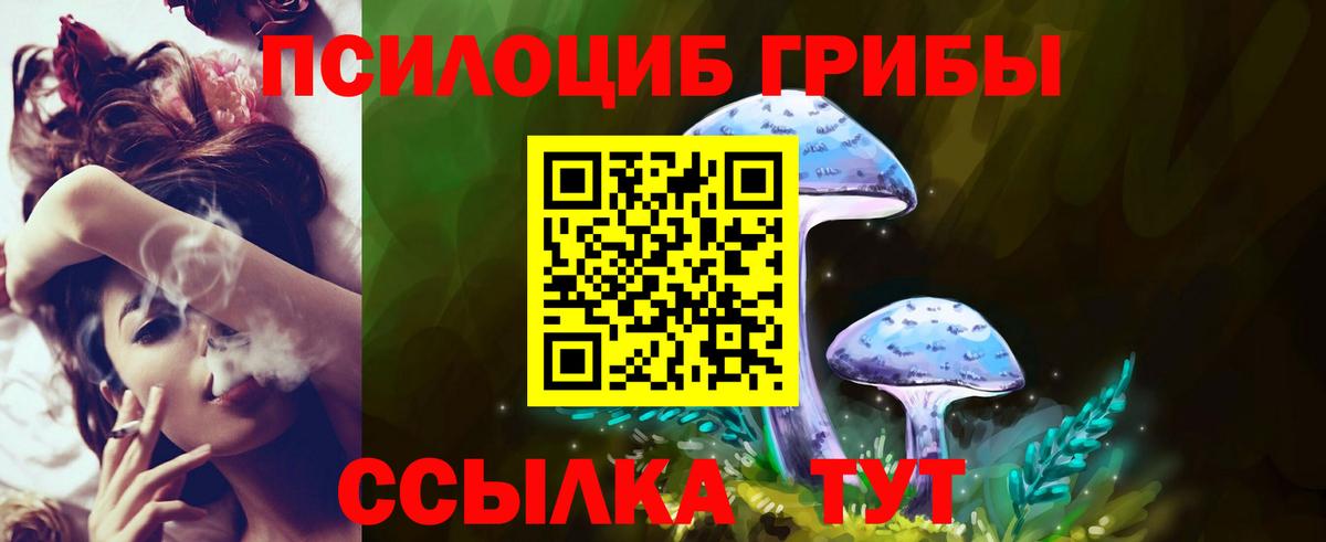 Галлюциногенные грибы Psilocybine cubensis  Вход с VPN  Волгоград 